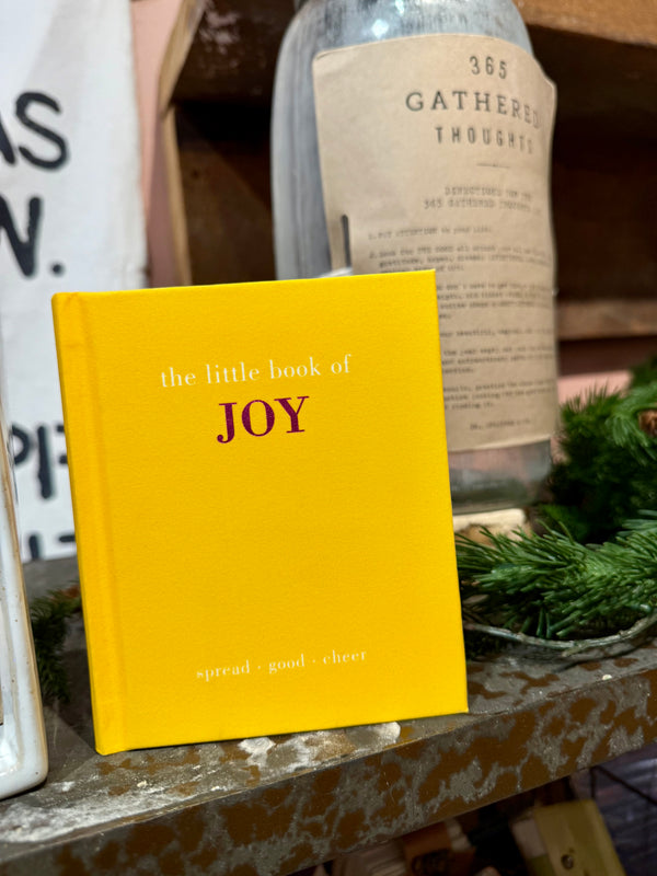 Little Book Of Joy